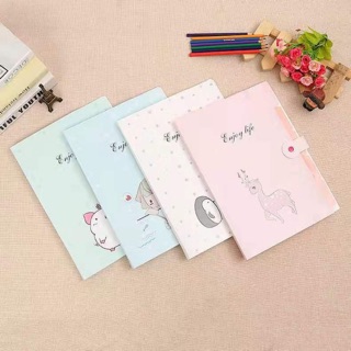 Combo 10 cặp đựng tài liệu