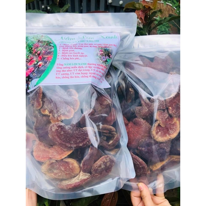 Nấm lim xanh Kon Tum