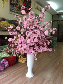 100 cành anh đào loại 1