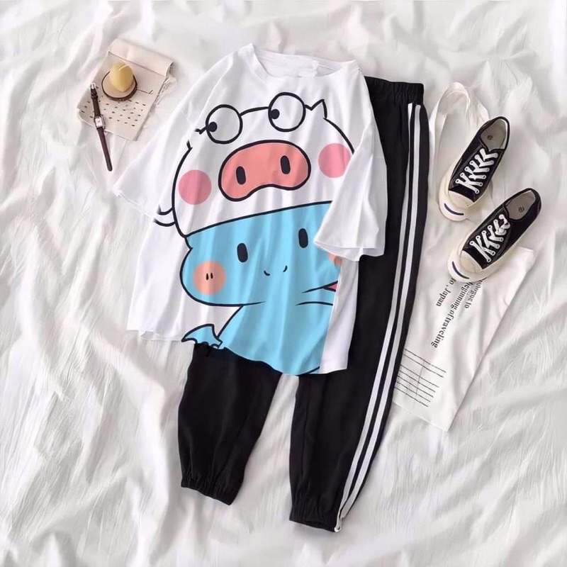 Sét áo lợn +quần theo mẫu KT11