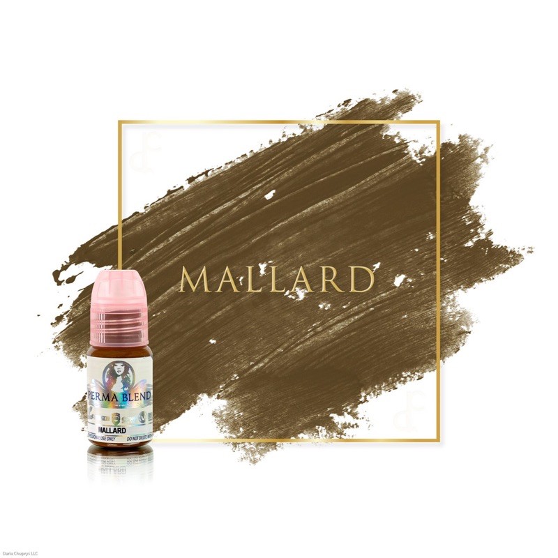 MỰC MÀY MÍ PERMA BLEND MỸ | BigBuy360 - bigbuy360.vn