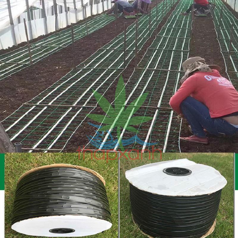 Cuộn 1000m Dây tưới nhỏ giọt 1602.20.2L, Băng nhỏ giọt bù áp Dây bẹt PE, Mắt 20 cm, Dày 0.2 mm