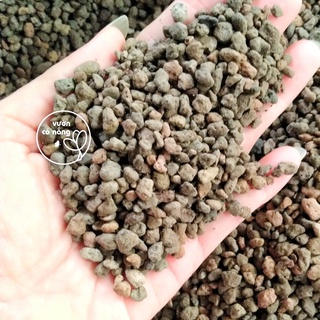 500g Đá pumice trộn giá thể trồng sen đá | Pumice 3-6mm