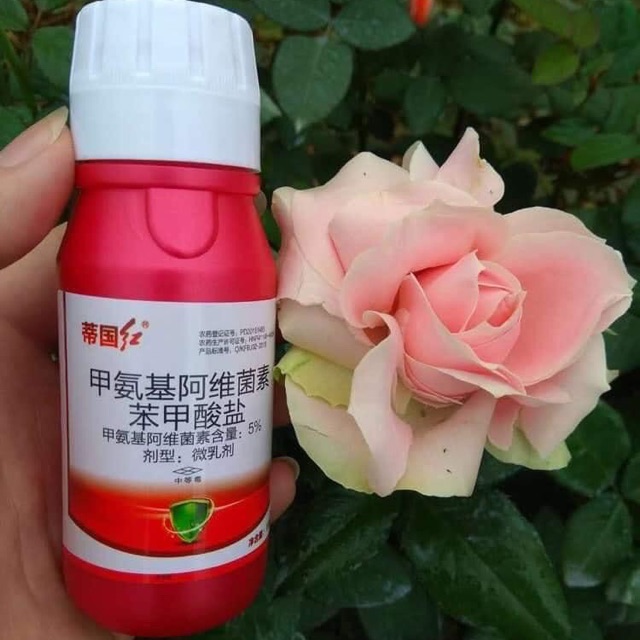 Thuốc đặc trị bọ trĩ cho hoa và rau củ
