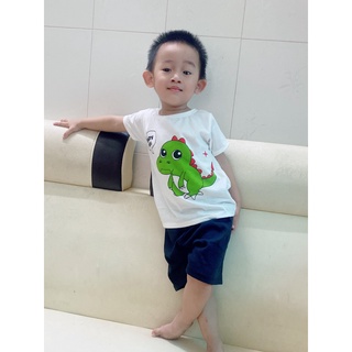 Bộ đồ bộ khủng long nhí cho bé trai