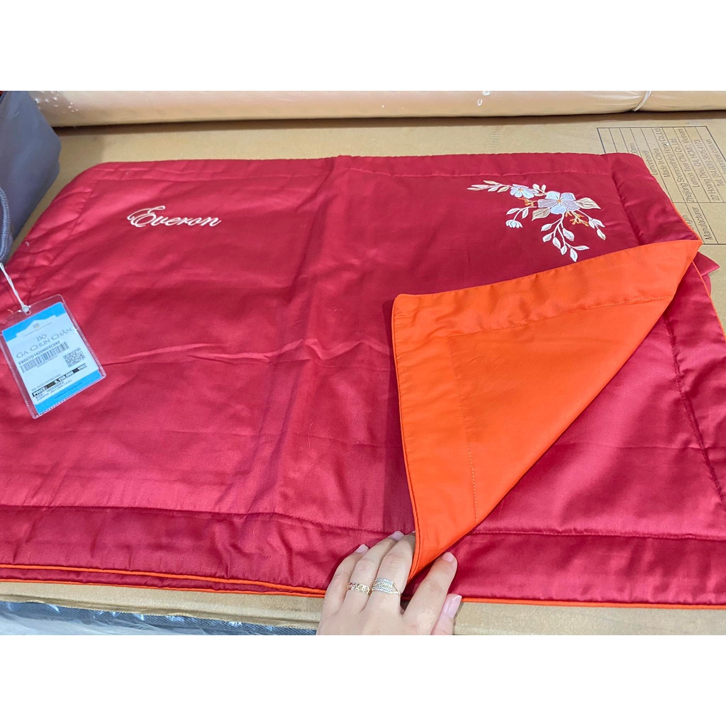Bộ Drap chun chần EVERON MDSC092