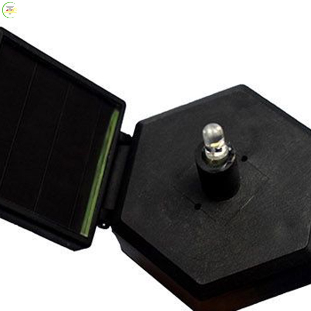 Đèn Led Trang Trí Sân Vườn Hình Chim Vẹt Nhiệt Đới Sử Dụng Năng Lượng Mặt Trời