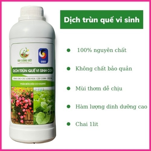 COMBO DỊCH TRÙN QUẾ VI SINH + DỊCH CHUỐI HỮU CƠ - SẢN PHẨM MANG THƯƠNG HIỆU CGV