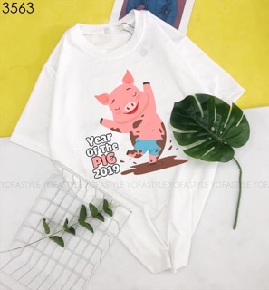 Bộ hình áo thun con heo 2