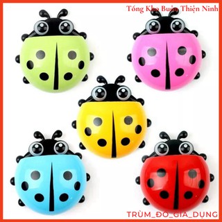 BỌ CÁNH CAM TREO BÀN TRẢI GẮN TƯỜNG PHÒNG TẮM ĐA NĂNG