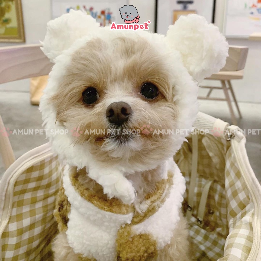 Mũ Lông Cho Thú Cưng Tai Gấu Thỏ Hoá Trang Cosplay Mũ Nón Đội Cho Chó Mèo Dễ Thương Chất Liệu Lông Cừu Cao Cấp Giá Rẻ Am