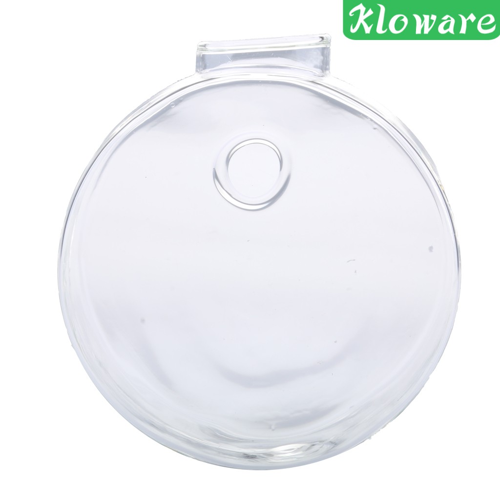 Lọ Hoa Thủy Tinh Trong Suốt Treo Tường