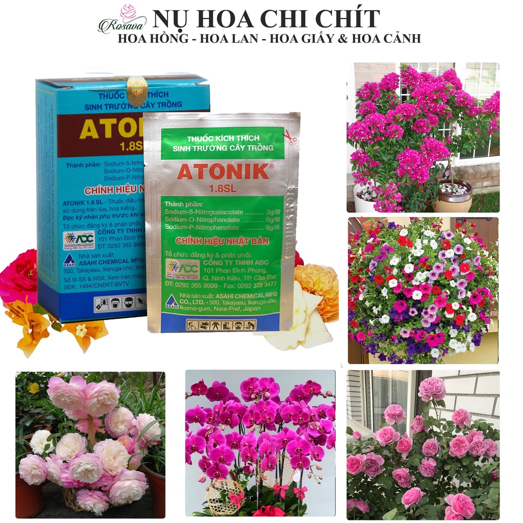 Thuốc kích rễ atonik cho cây, phân bón lá kích thích sinh trưởng cực mạnh lan, hoa hồng, giấy, sen đá