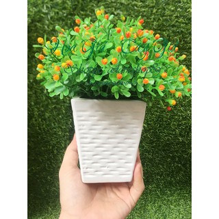 Bình hoa Vuông gốm sứ cắm hoa