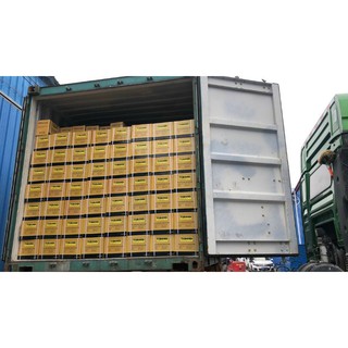 Keo dán xây dựng đa năng Vitop