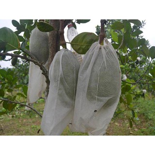 100 túi bọc mít kích thước 45x60