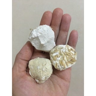 Combo Men ngọt ủ cơm nếp ngọt dùng đủ cho 1kg gạo