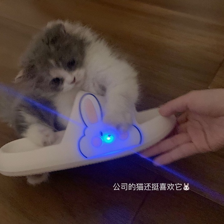 Dép Đi Trong Nhà Đế Dày Chống Trượt Phát Sáng Họa Tiết Thỏ Dễ Thương Cho Nam Và Nữ