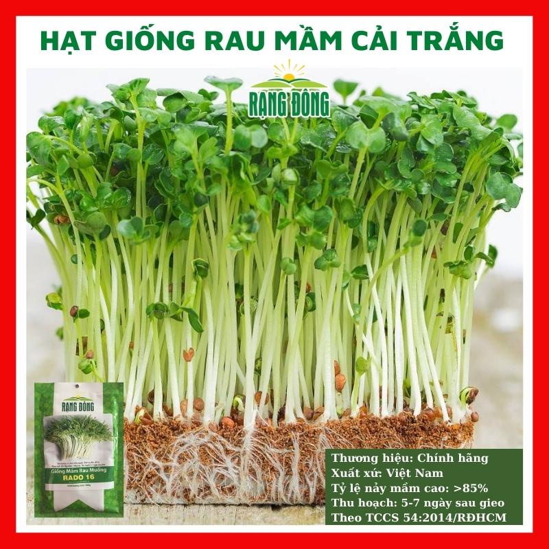 Hạt giống rau mầm củ cải trắng ngon giòn ngọt - rau củ quả trồng tại nhà 50gr RADO 01