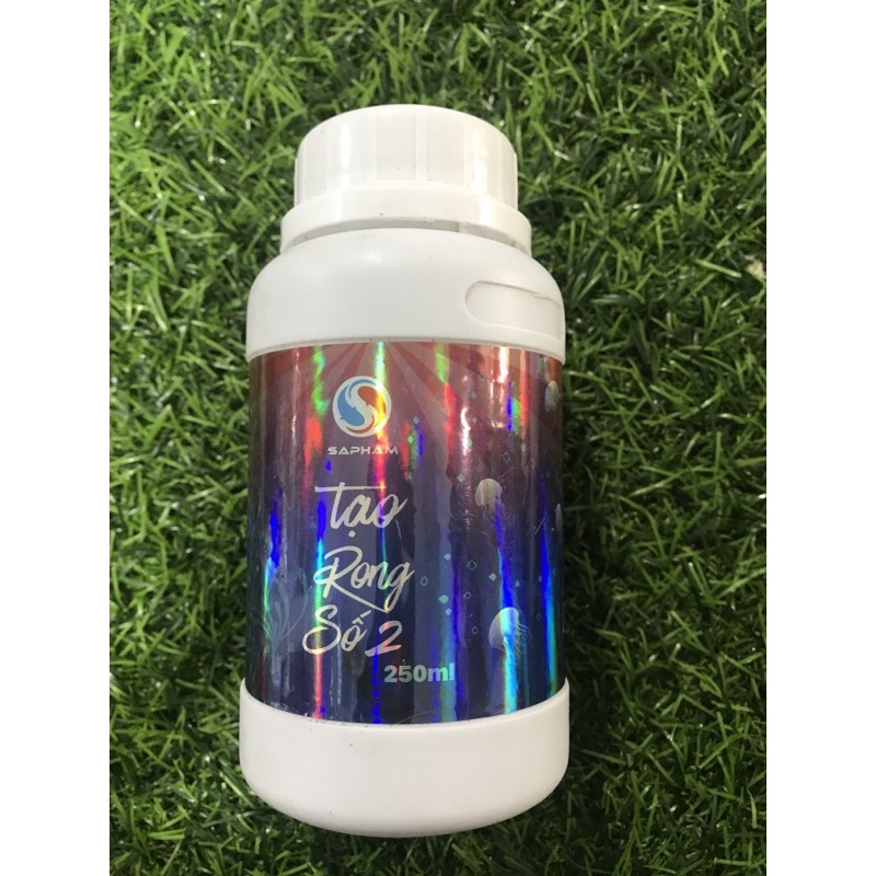 Tạo rong số 2