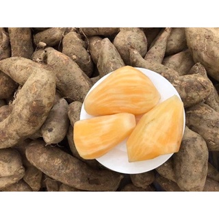 Combo 5 ký KHOAI SÂM ĐẤT (ship nhanh)