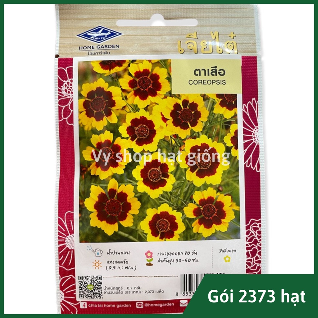 Hạt giống hoa cúc mắt rắn (Coreopsis Tinctoria) Thái Lan gói 2300 hạt