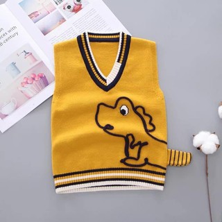 Combo áo gile khủng long full sz full màu