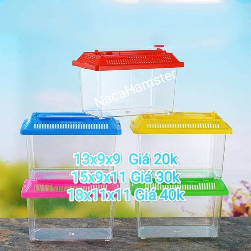 Hộp xách tay mini