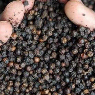 Copo 3 kg tiêu