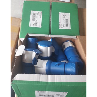 Ổ nối di động Schneider IP44 PKF16M423
