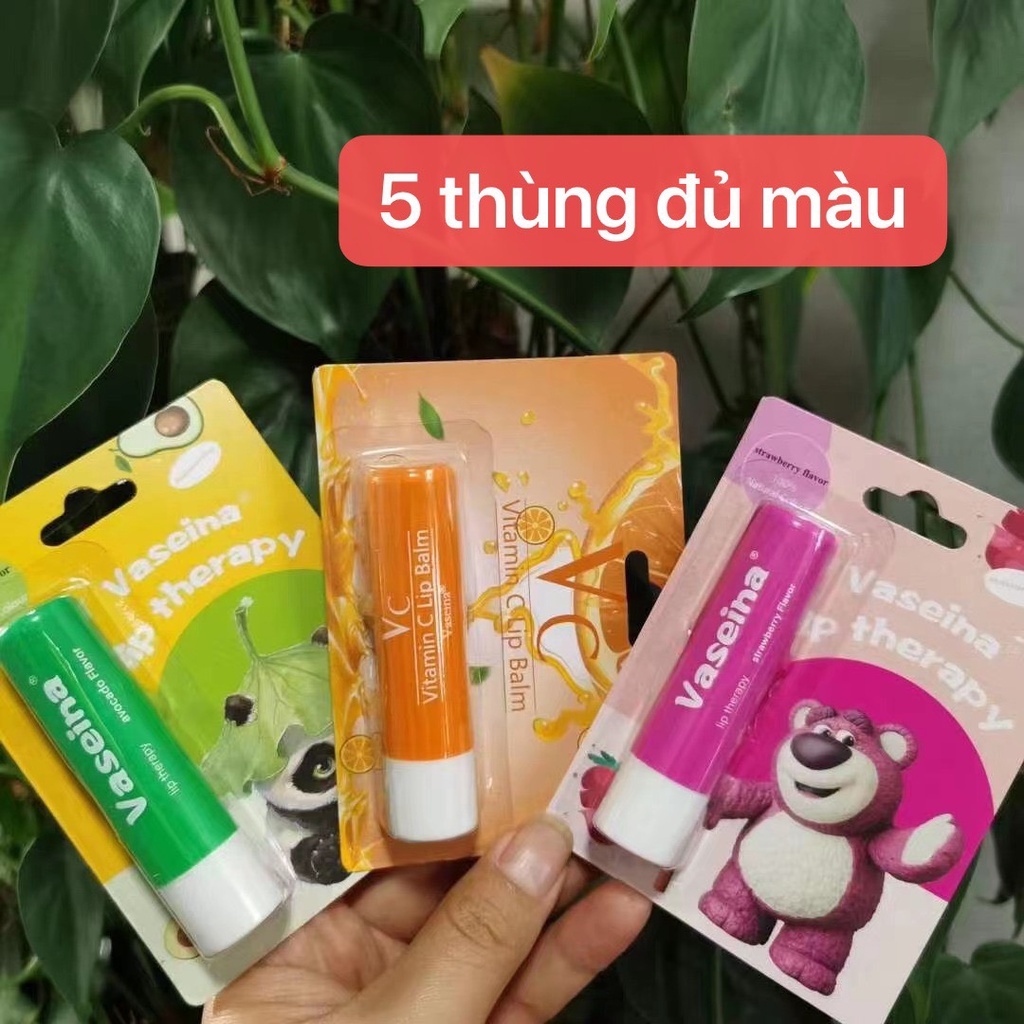 Son Dưỡng Vaseina Dạng Thỏi Vị Trái Cây 4,8g