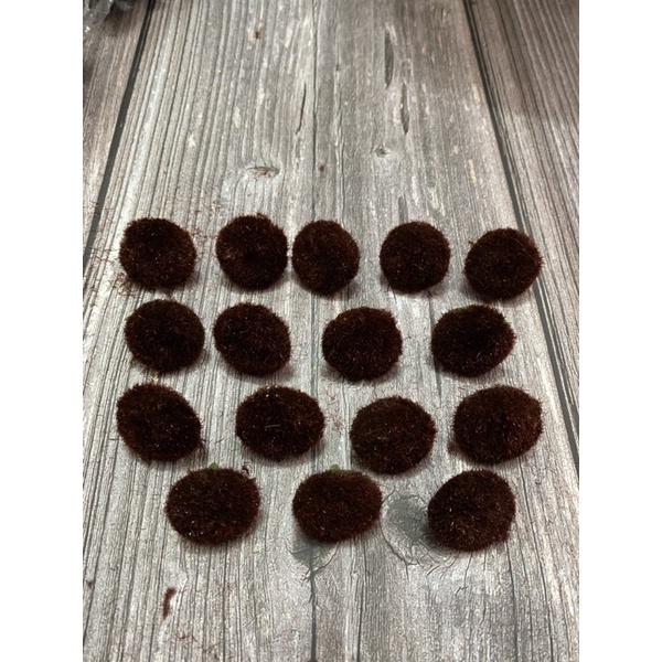 Set 50 nhuỵ hoa cúc hoạ mi, hoa cúc tana loại 2,3cm