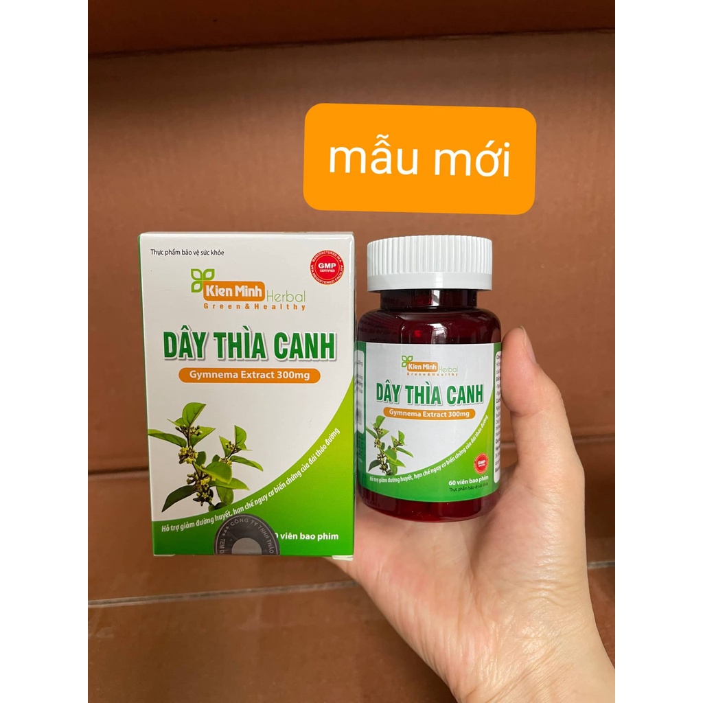 Dây Thìa Canh  - Thảo dược truyền thống cho người tiểu đường
