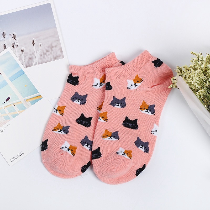 Set 5 đôi tất cotton cổ thấp in hình mèo dễ thương cho nữ