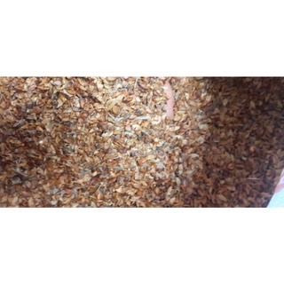 1kg hạt giống câybằng lăng tím