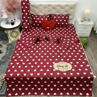 Bộ ga gối cotton poly