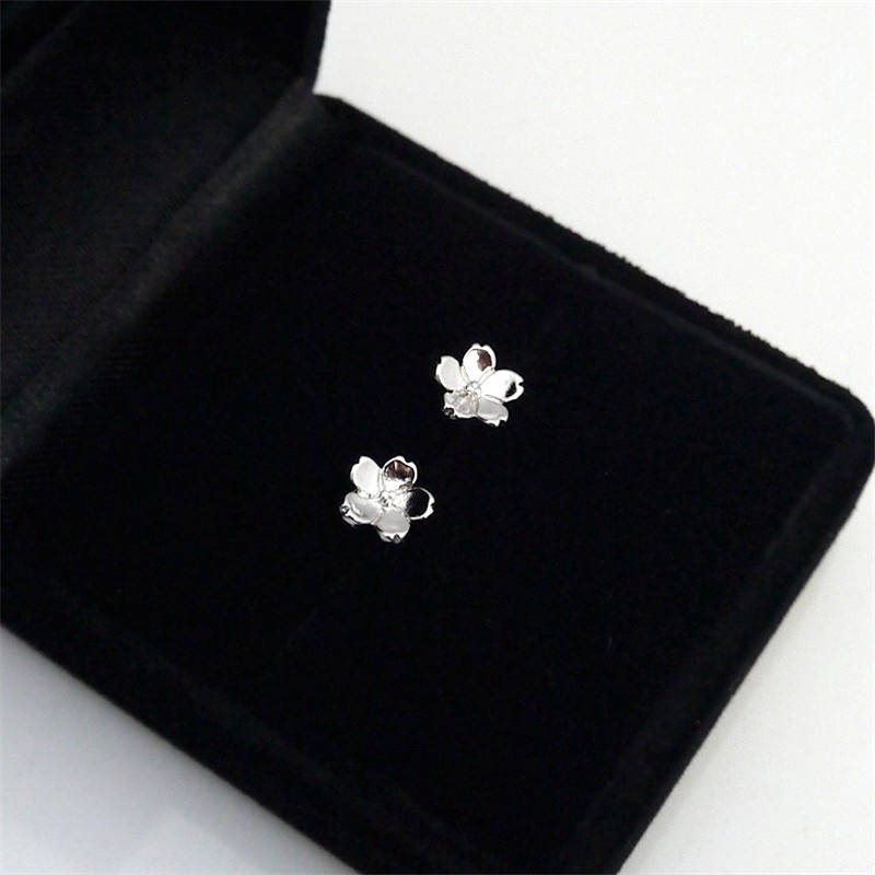 Simple Fashion S925 Silver Earrings