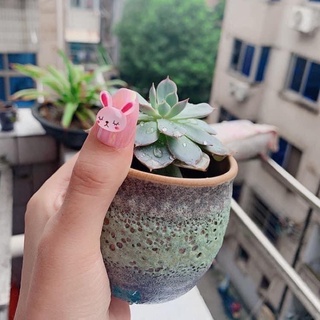 CHAM THÚ KUTE ( gấu -thỏ - bikachu 2k/1 cái)