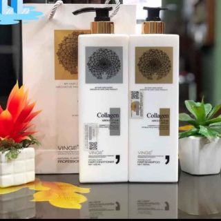Dầu gội xả vinge colagen