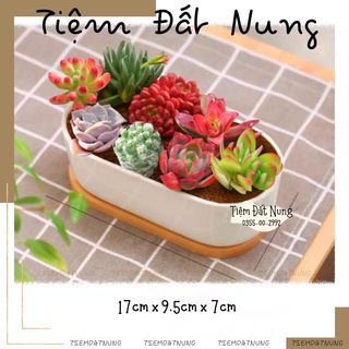 Chậu Đất Nung Dáng Thuyền - Chậu Trồng Sen Đá - Tiệm Đất Nung - tiemdatnung - Chậu Hoa Gốm Sứ - Chậu Đất Nung