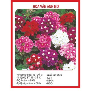 Combo hạt giống 2500K