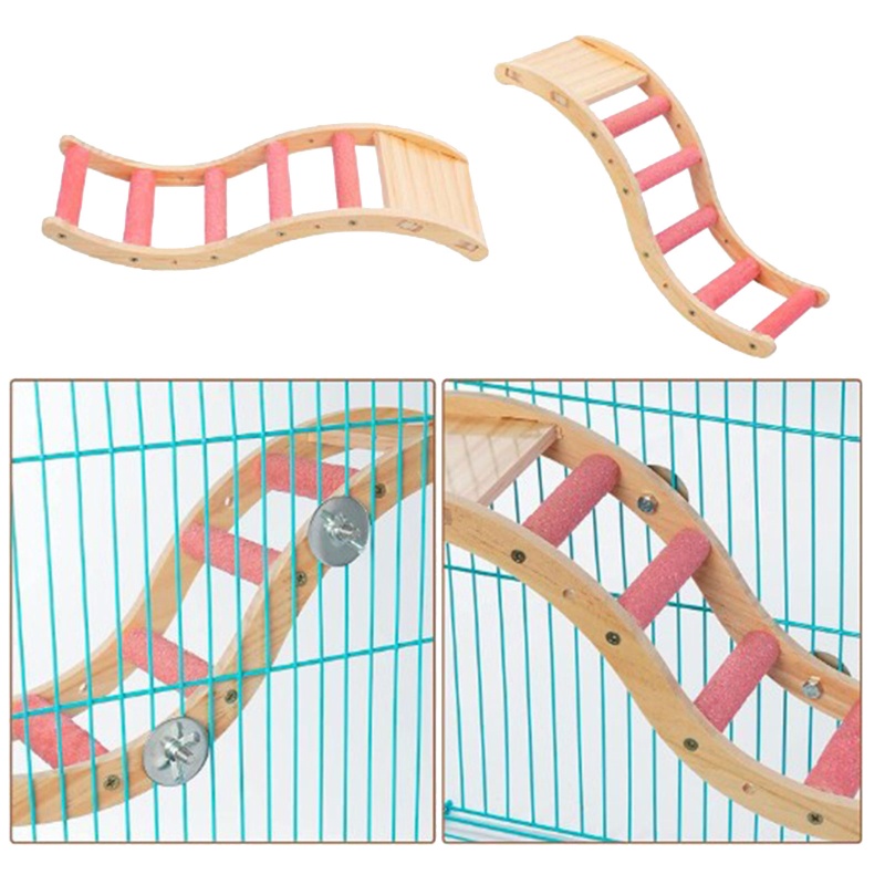 ✿ Thang Leo Dạng Đứng Dễ Lắp Đặt Cho Chim Vẹt Cỡ Nhỏ / Vừa / Nhỏ