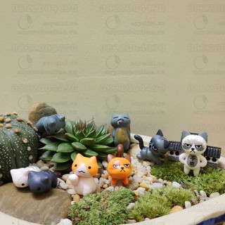 Phụ kiện trang trí tiểu cảnh Terrarium - Mèo con may mắn tinh nghịch