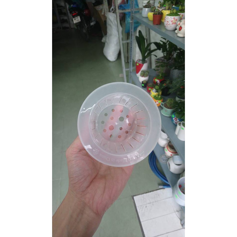 GIỎ NHỰA TRỒNG CÂY THỦY SINH nhập khẩu- chuyên dụng.