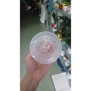 GIỎ NHỰA TRỒNG CÂY THỦY SINH nhập khẩu-  chuyên dụng.