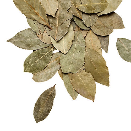 Lá nguyệt quế Bay Leaves lá thơm gia vị rau gia vị nấu ăn Enko nhập khẩu Thổ Nhĩ Kỳ 10g FENNC