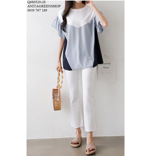 Q680520 ÁO KIỂU NỮ PHỐI MÀU