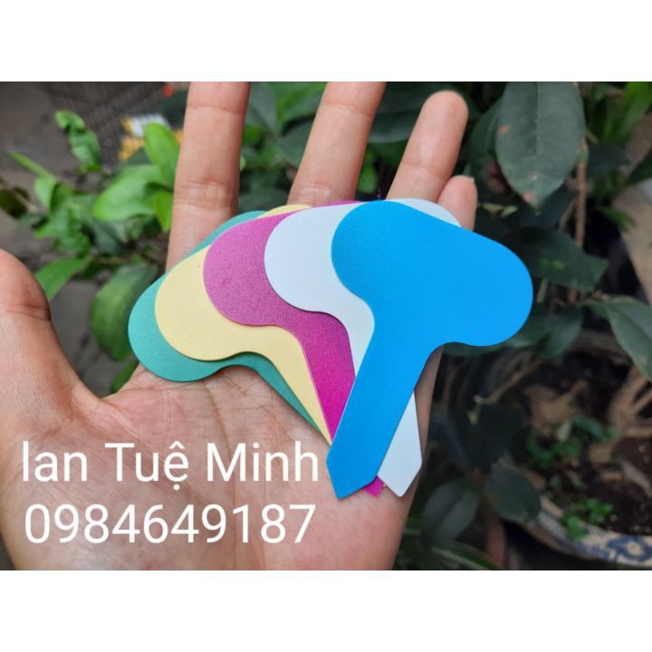 100 Tag dạng cắm ghi tên phong lan, cây cảnh (5 loại màu)