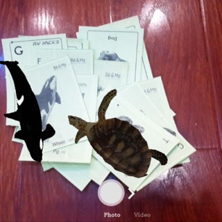 Thẻ animal 4d bìa cứng hai82