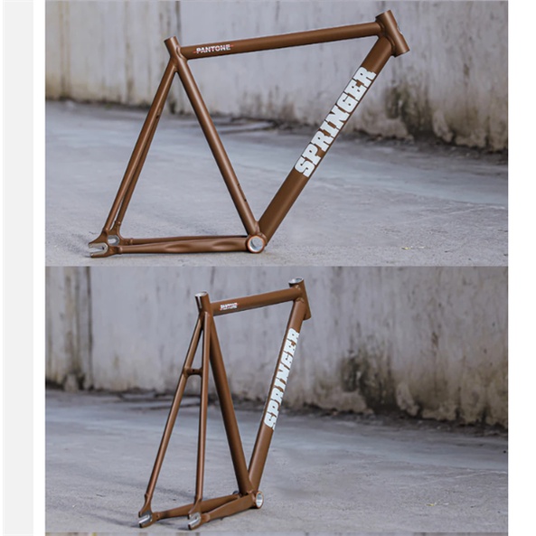 Khung xe đạp Fixed Gear Springer Pantone